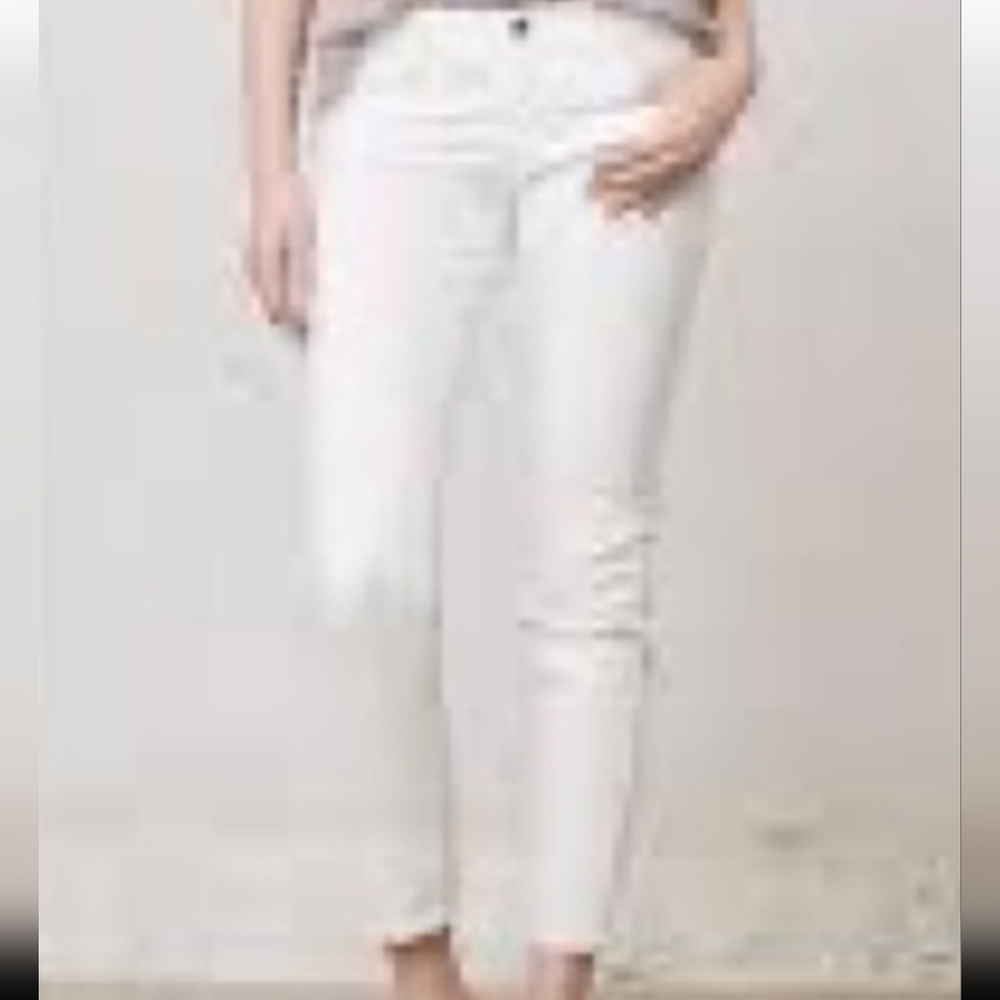 Adriano Goldschmied the Stevie ankle slim straight jeans